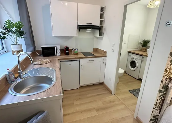 Le Vegetal / Nay Centre Nay (Pyrenees-Atlantiques)